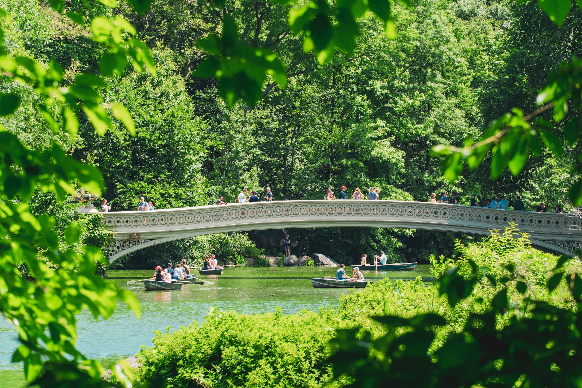 A Luminary summer in NYC