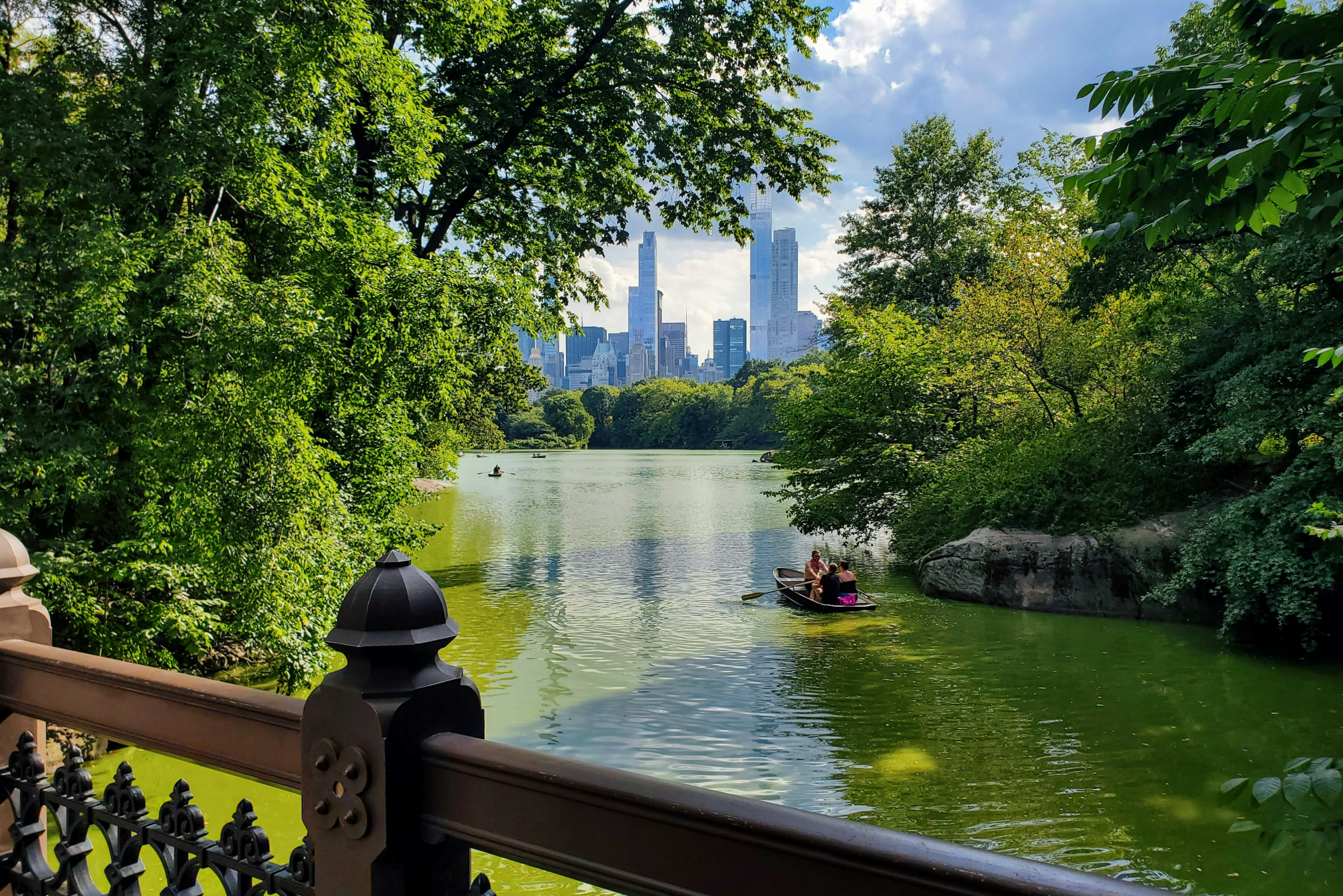 Finding nature in the city